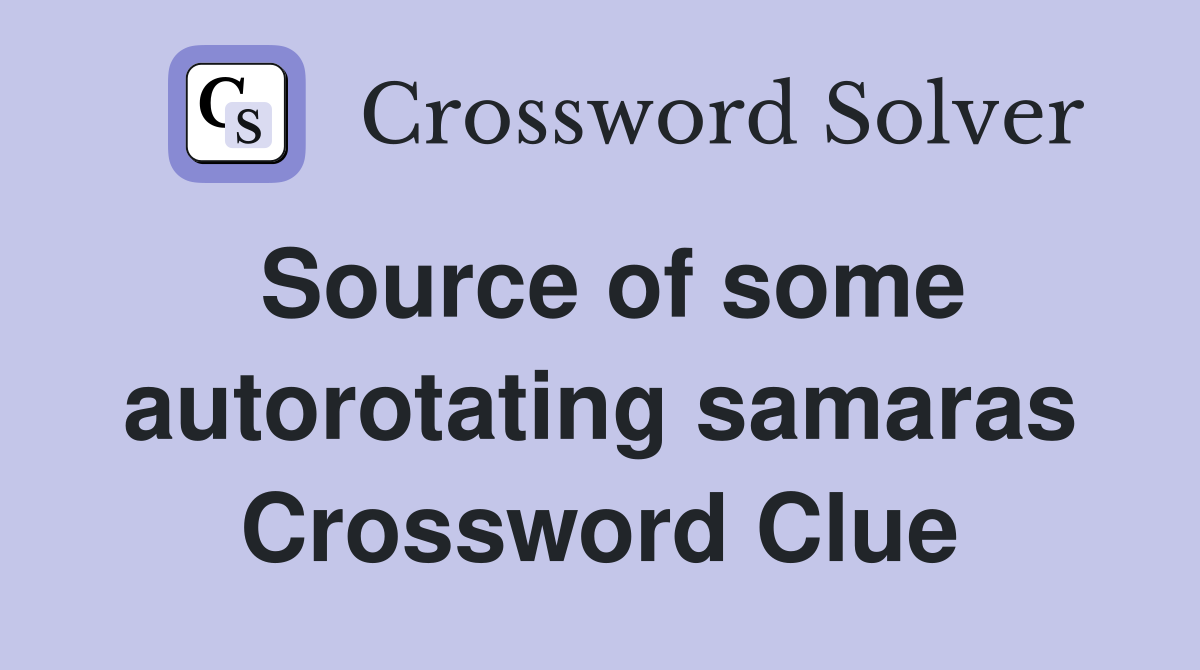 Source of some autorotating samaras Crossword Clue