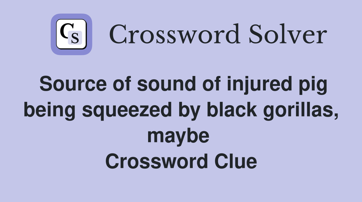 Source of sound of injured pig being squeezed by black gorillas, maybe  Crossword Clue