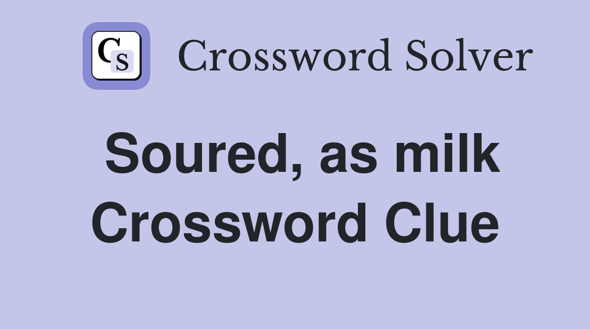 Soured, as milk Crossword Clue
