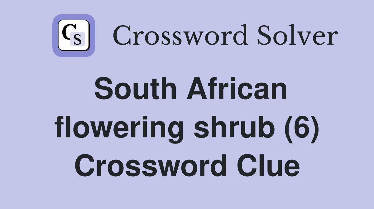 South African flowering shrub (6) Crossword Clue