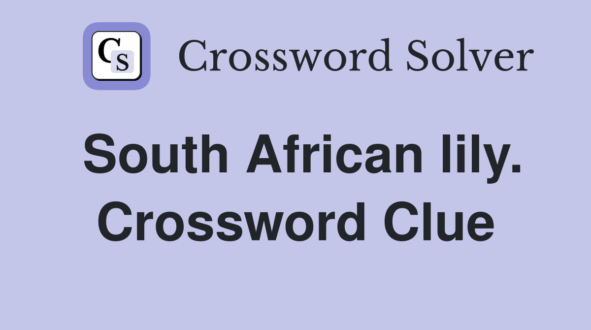 South African lily. Crossword Clue