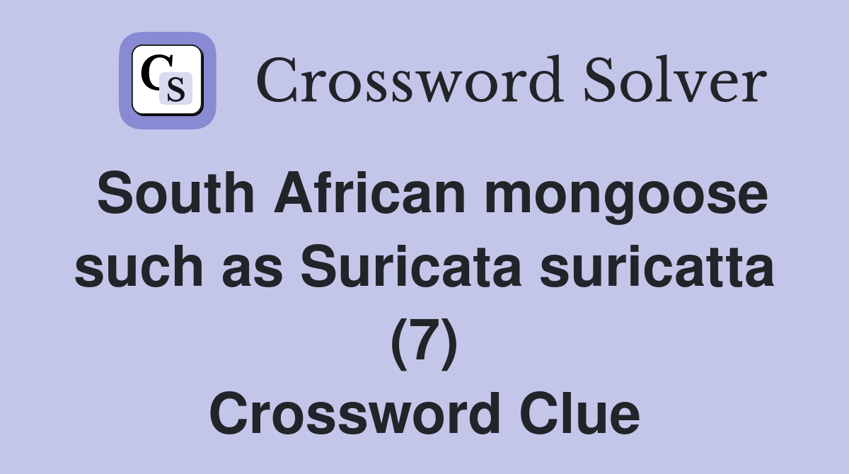 South African mongoose such as Suricata suricatta (7) Crossword Clue
