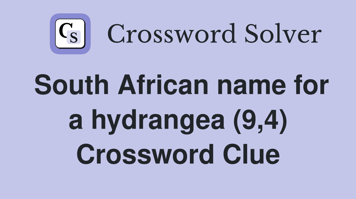 South African name for a hydrangea (9,4) Crossword Clue