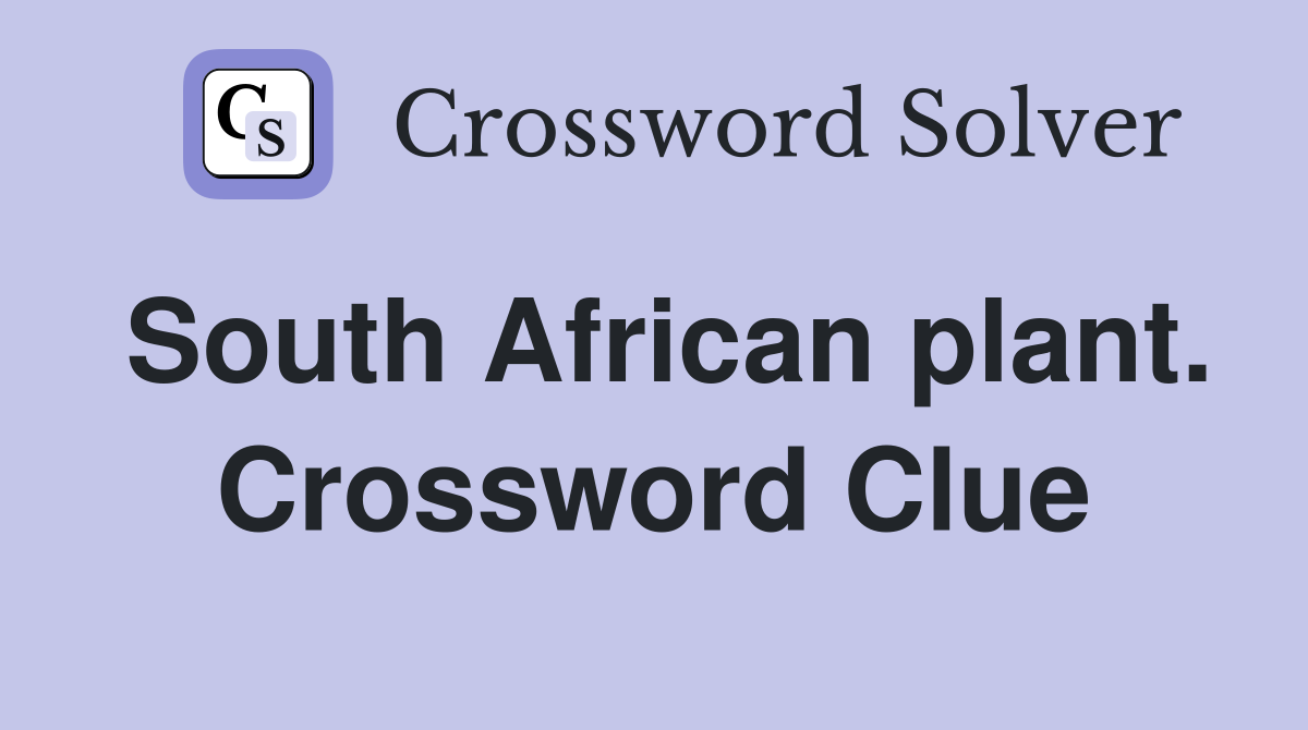South African plant. Crossword Clue