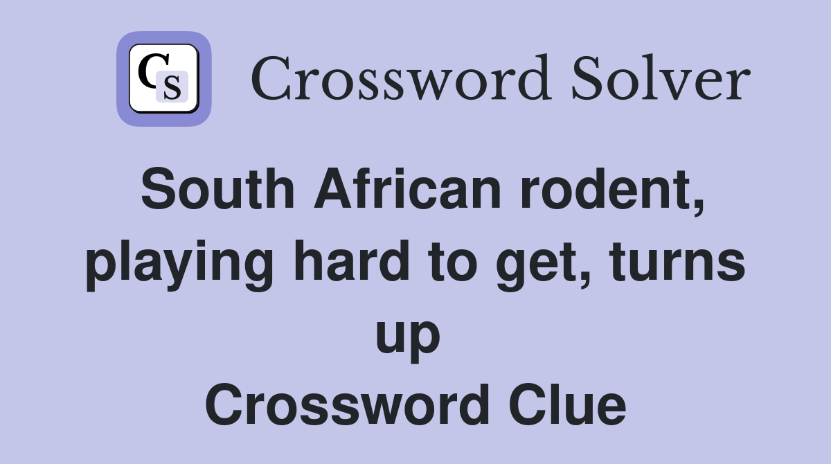 South African rodent, playing hard to get, turns up  Crossword Clue