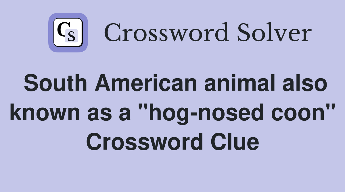 South American animal also known as a "hog-nosed coon" Crossword Clue