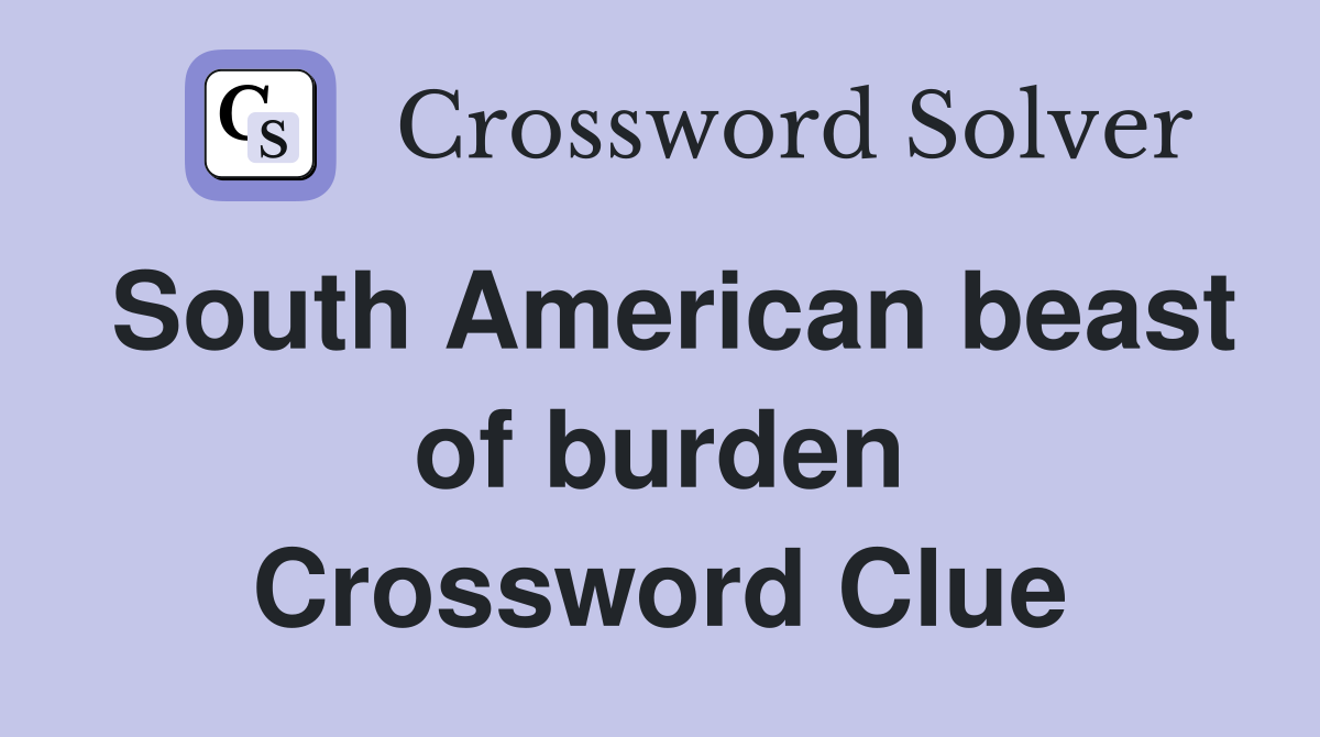 South American beast of burden Crossword Clue