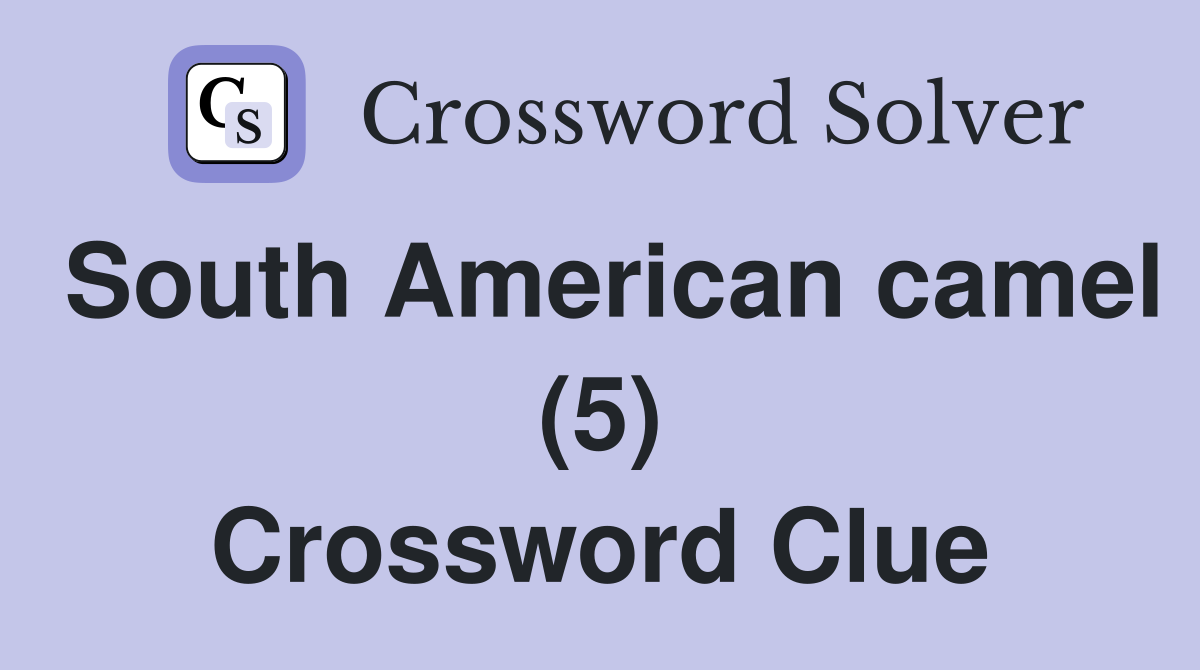 South American camel (5) Crossword Clue