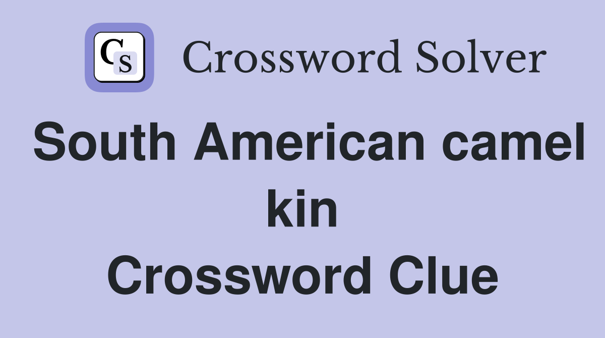 South American camel kin Crossword Clue