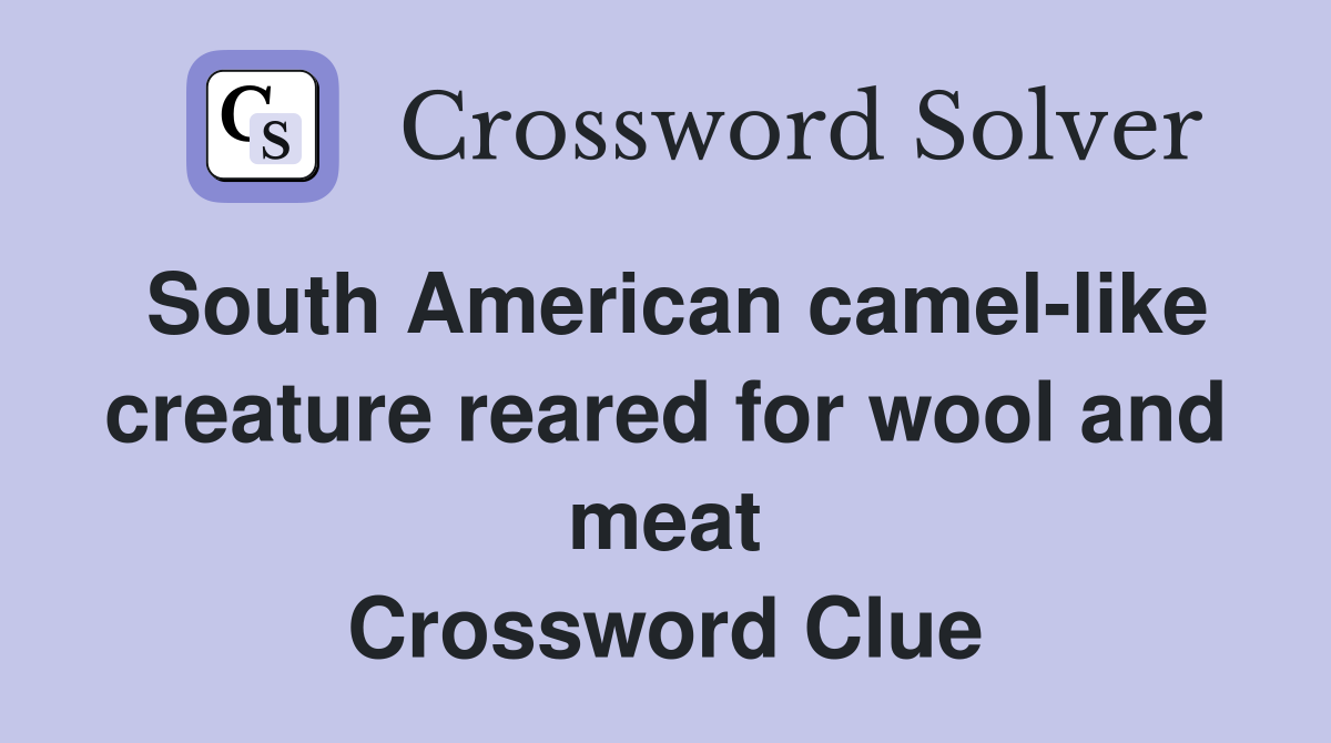 South American camel-like creature reared for wool and meat Crossword Clue