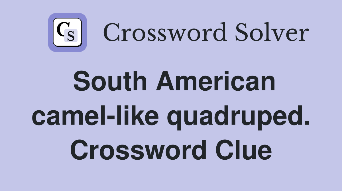 South American camel-like quadruped. Crossword Clue