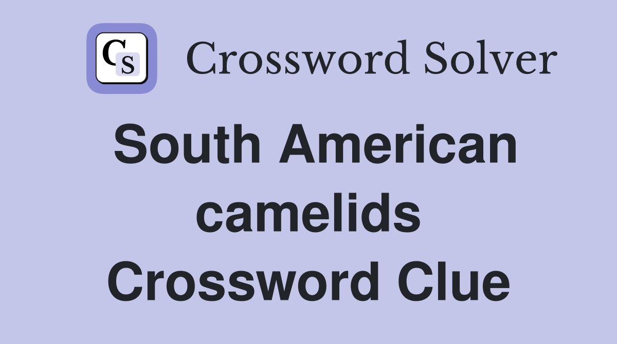 South American camelids Crossword Clue