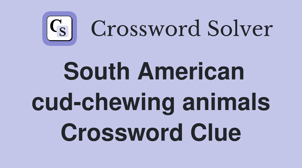 South American cud-chewing animals Crossword Clue