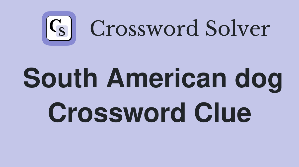 South American dog Crossword Clue