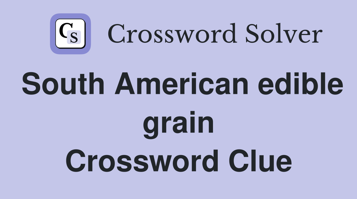 South American edible grain Crossword Clue