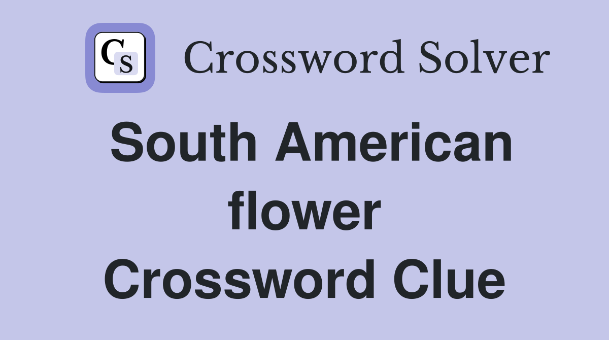 South American flower Crossword Clue