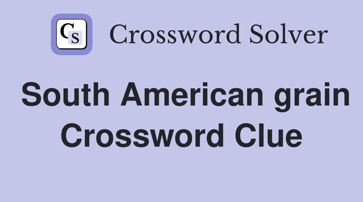 South American grain Crossword Clue
