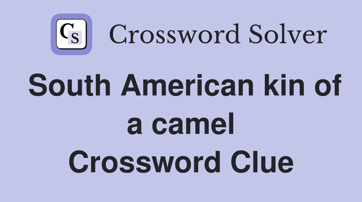 South American kin of a camel Crossword Clue