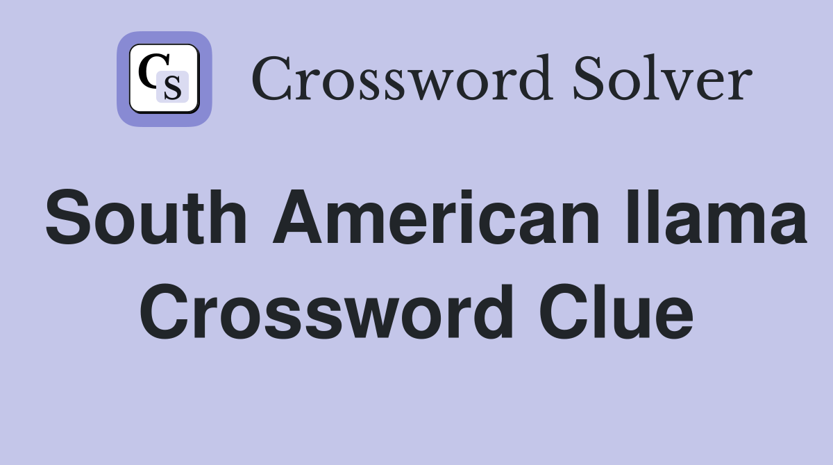 South American llama Crossword Clue
