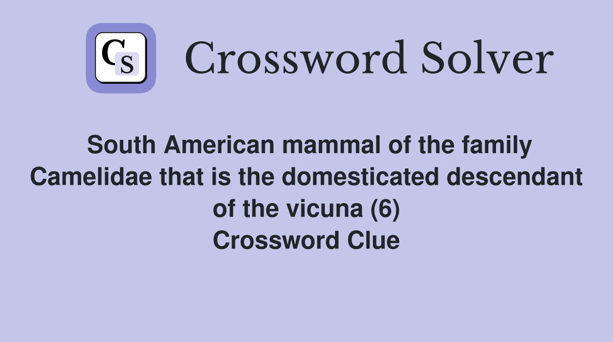 South American mammal of the family Camelidae that is the domesticated descendant of the vicuna (6) Crossword Clue
