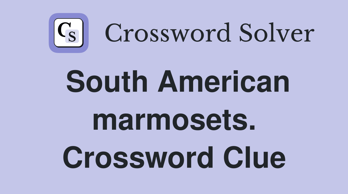 South American marmosets. Crossword Clue