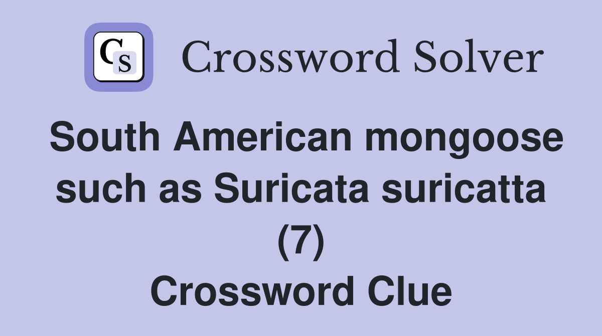 South American mongoose such as Suricata suricatta (7) Crossword Clue