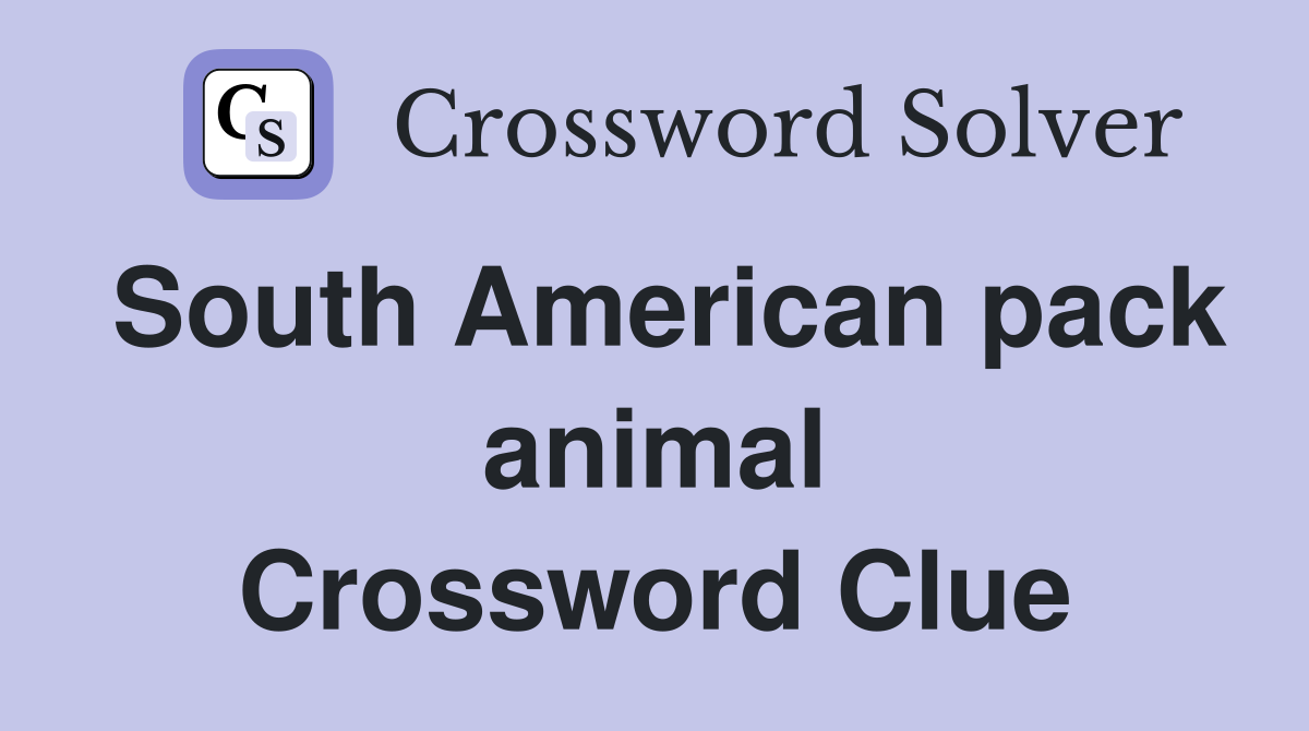 South American pack animal Crossword Clue