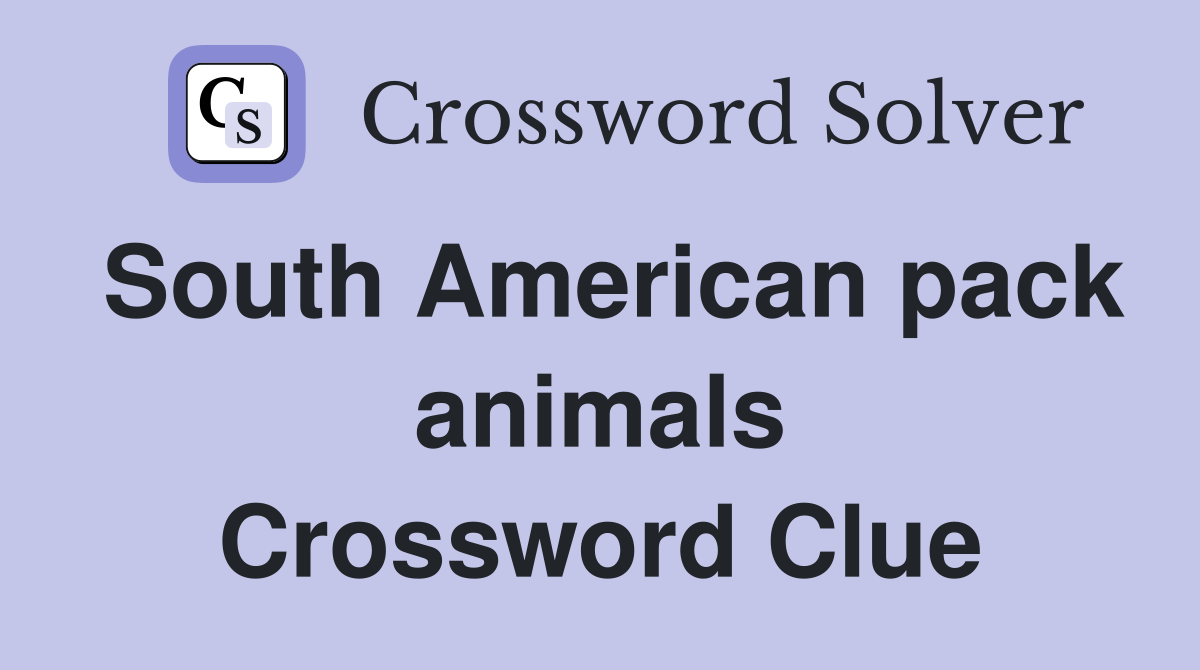 South American pack animals Crossword Clue