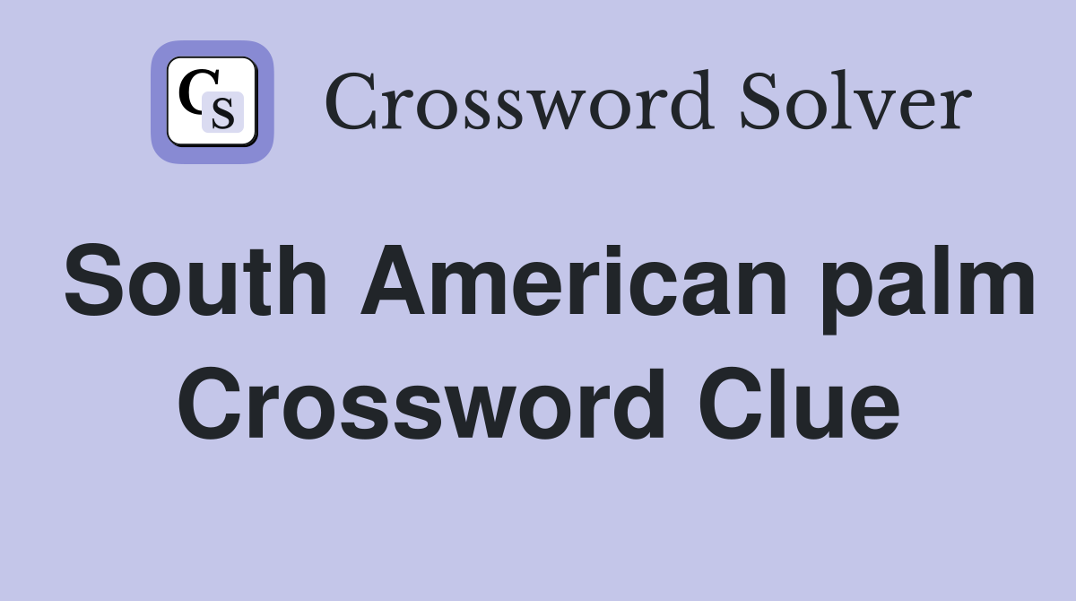 South American palm Crossword Clue