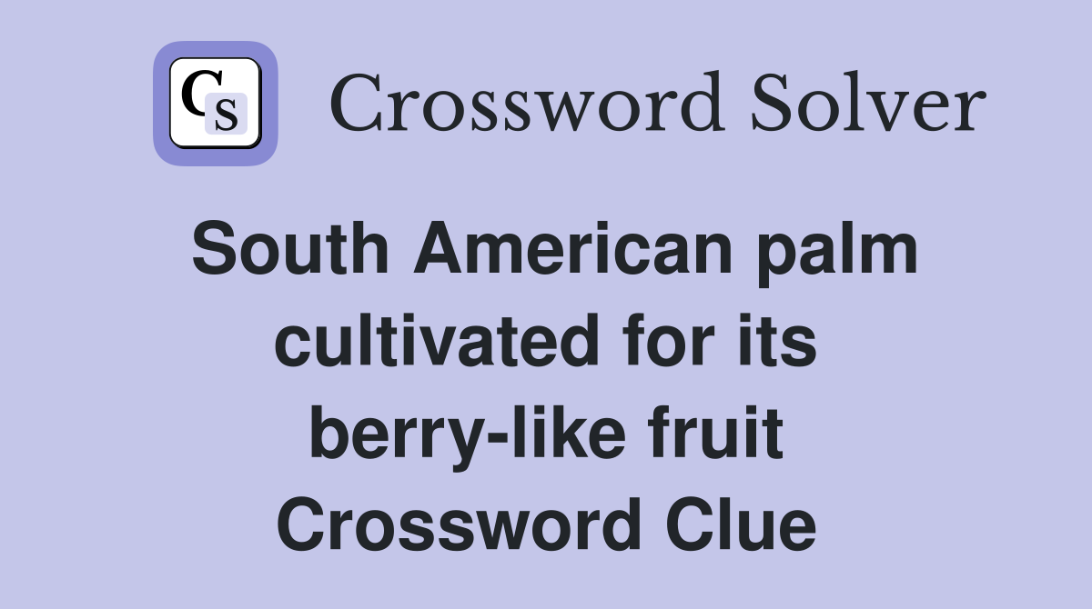 South American palm cultivated for its berry-like fruit Crossword Clue