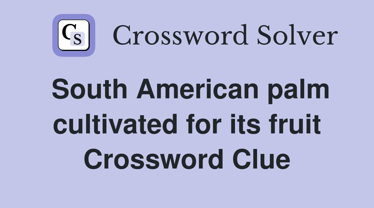South American palm cultivated for its fruit Crossword Clue
