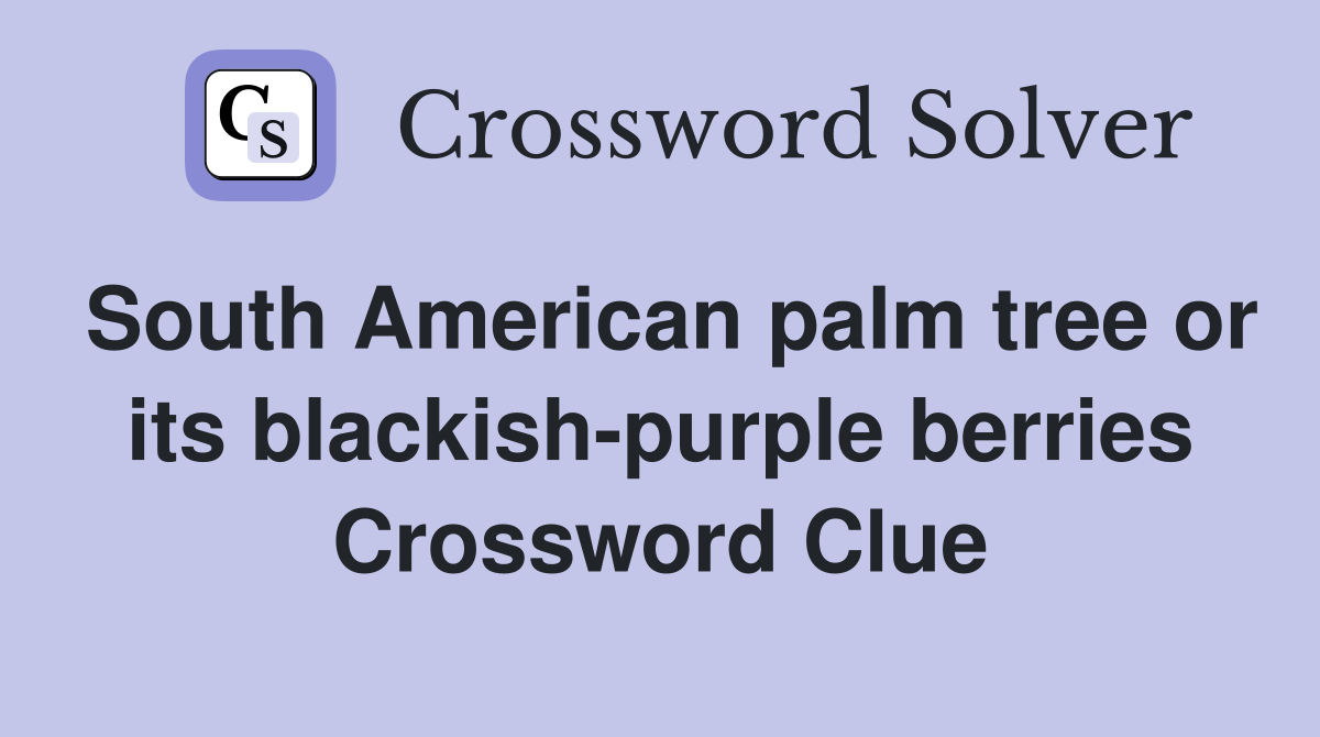 South American palm tree or its blackish-purple berries Crossword Clue