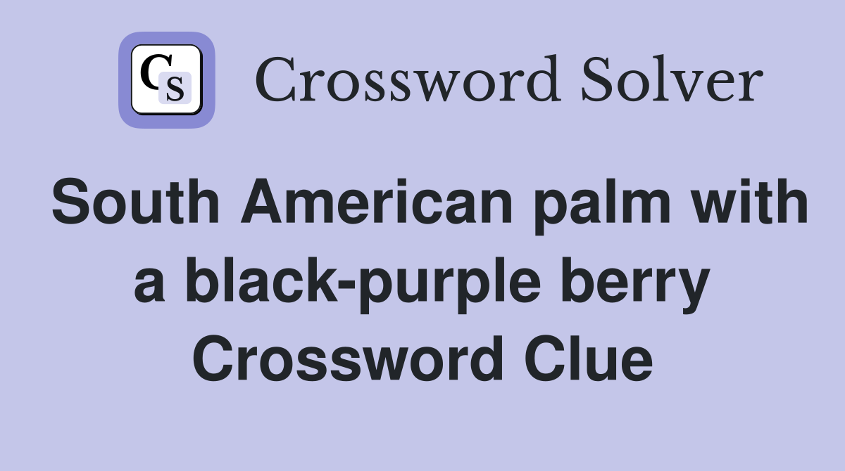 South American palm with a black-purple berry Crossword Clue