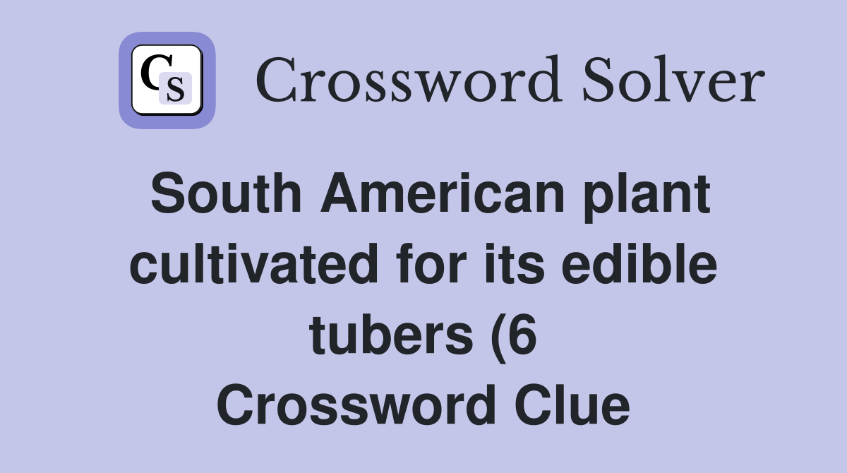 South American plant cultivated for its edible tubers (6) Crossword South American plant cultivated for its edible tubers (6) Crossword