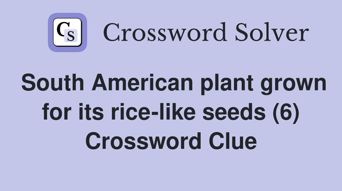 South American plant grown for its rice-like seeds (6) Crossword Clue