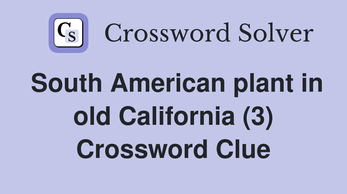 South American plant in old California (3) Crossword Clue