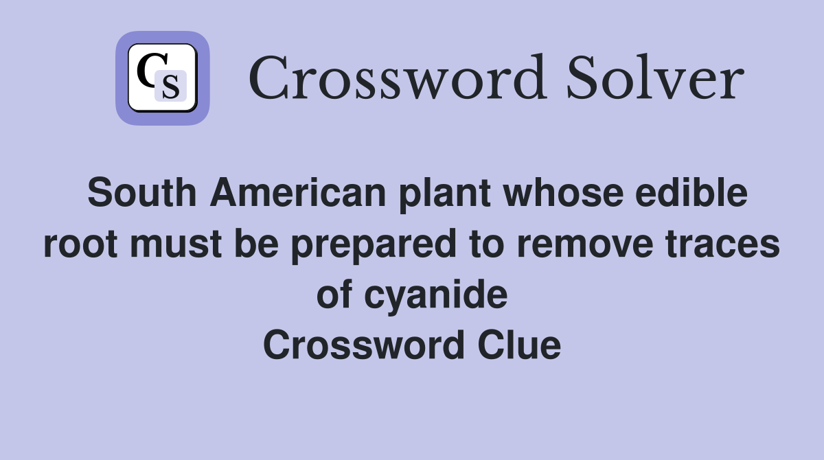 South American plant whose edible root must be prepared to remove traces of cyanide Crossword Clue