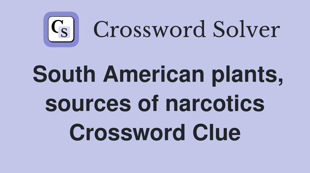 South American plants, sources of narcotics Crossword Clue