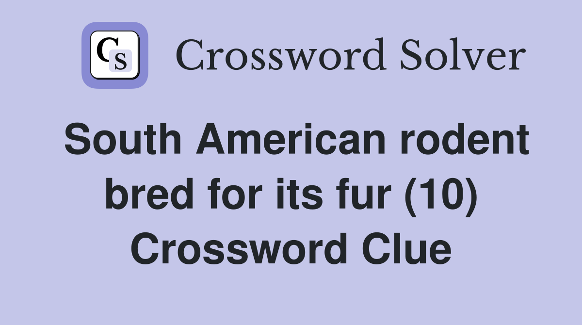 South American rodent bred for its fur (10) Crossword Clue