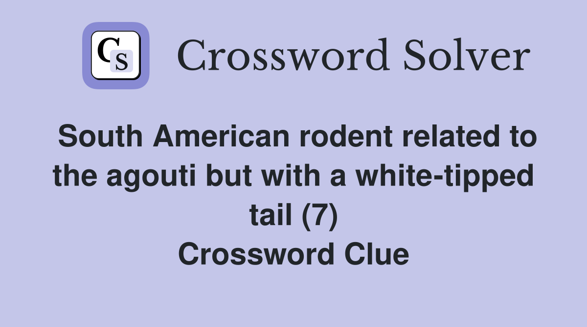 South American rodent related to the agouti but with a white-tipped tail (7) Crossword Clue