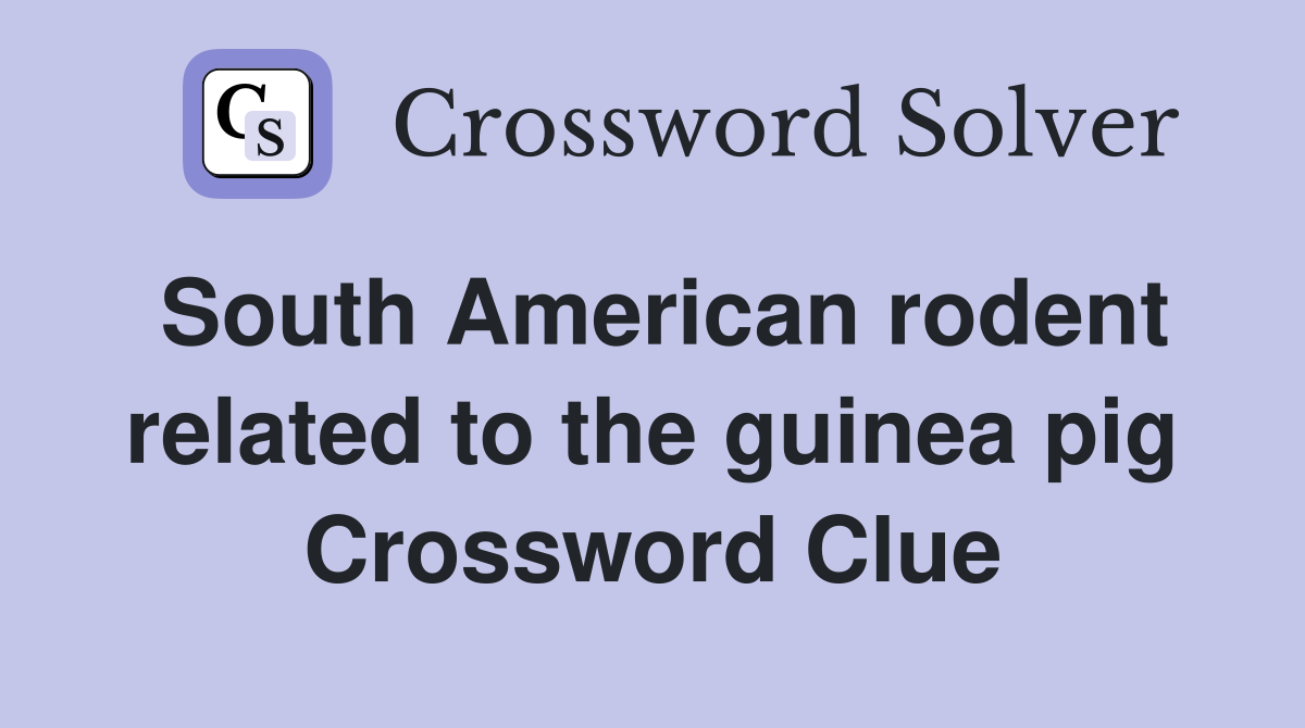 South American rodent related to the guinea pig Crossword Clue