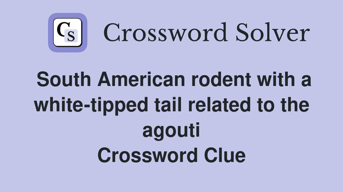 South American rodent with a white-tipped tail related to the agouti Crossword Clue