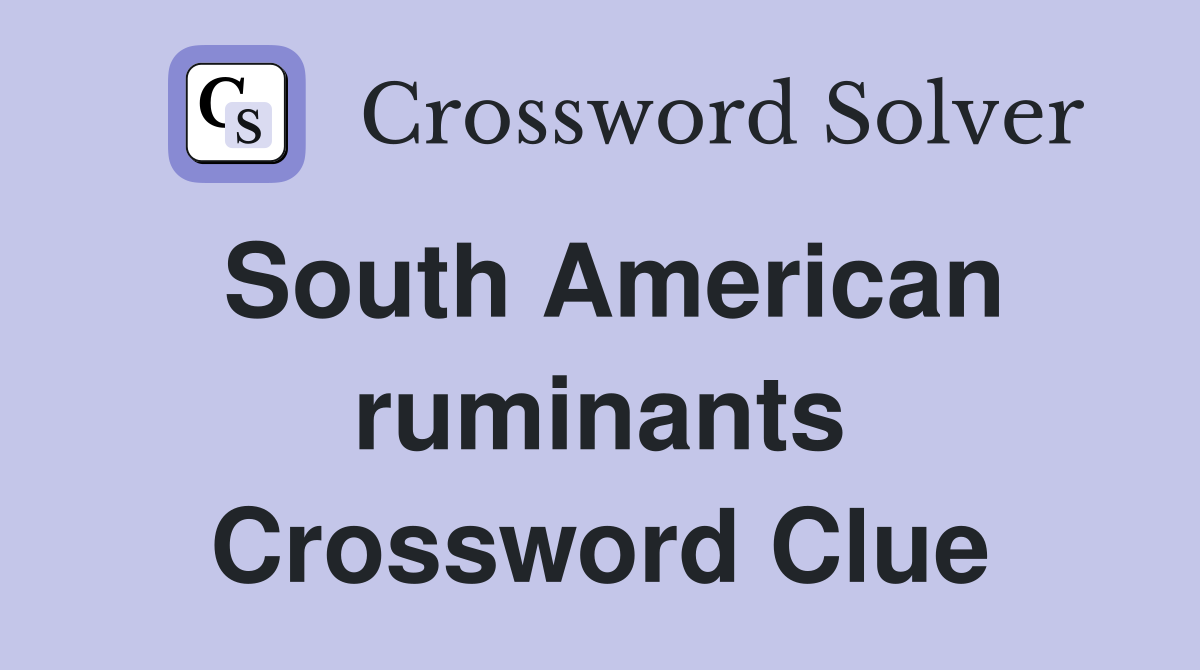 South American ruminants Crossword Clue