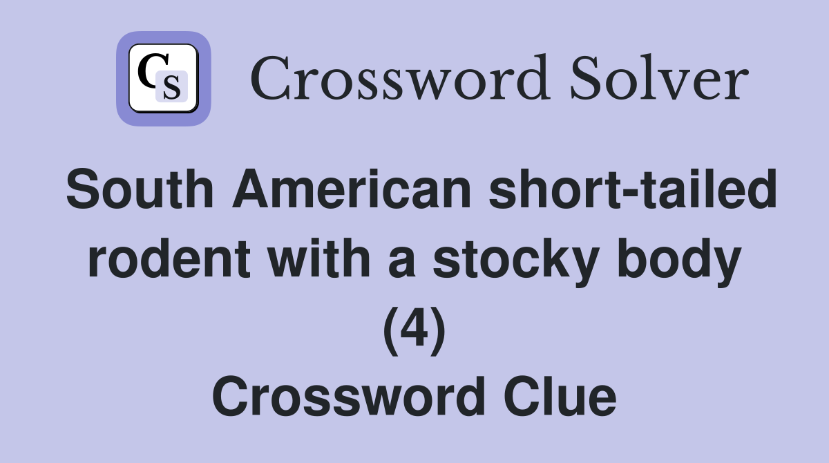 South American short-tailed rodent with a stocky body (4) Crossword Clue