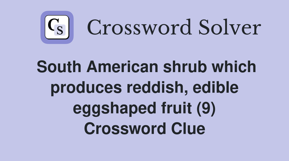 South American shrub which produces reddish, edible eggshaped fruit (9) Crossword Clue