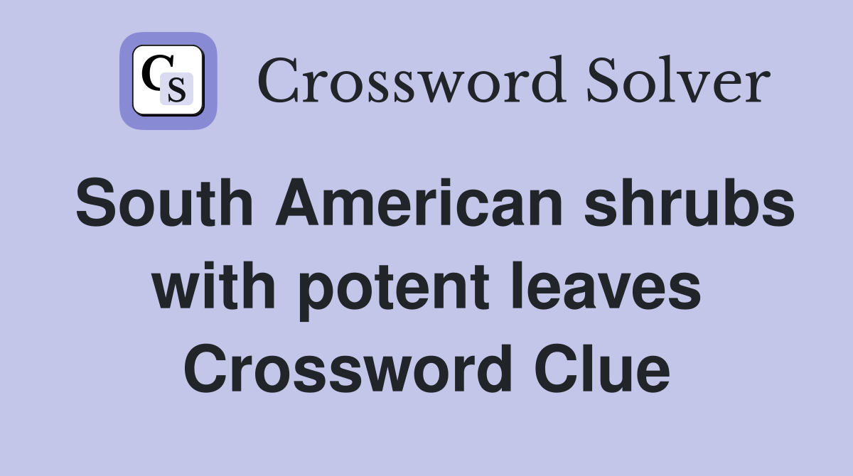 South American shrubs with potent leaves Crossword Clue