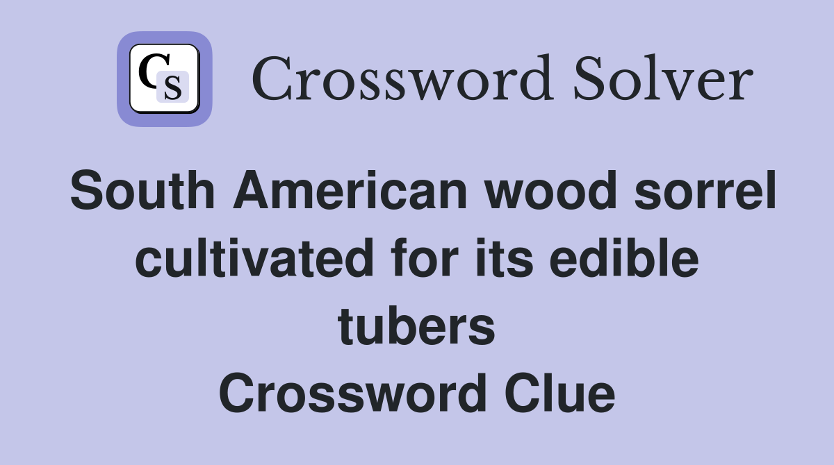 South American wood sorrel cultivated for its edible tubers Crossword Clue