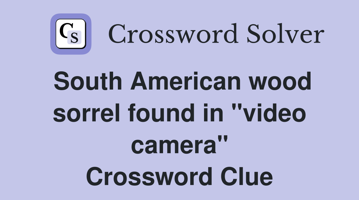 South American wood sorrel found in "video camera" Crossword Clue
