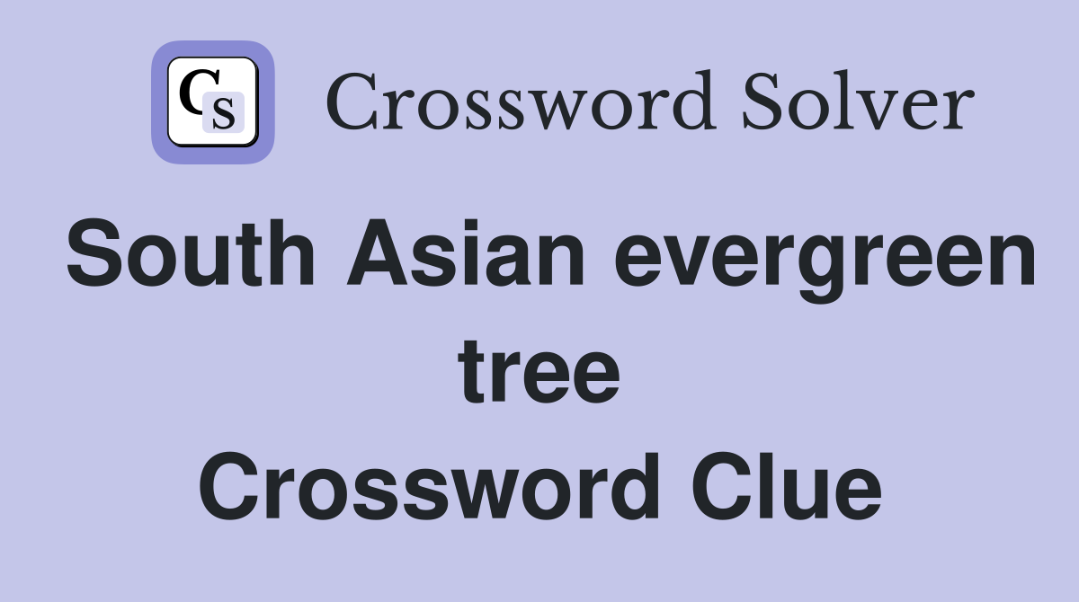 South Asian evergreen tree Crossword Clue