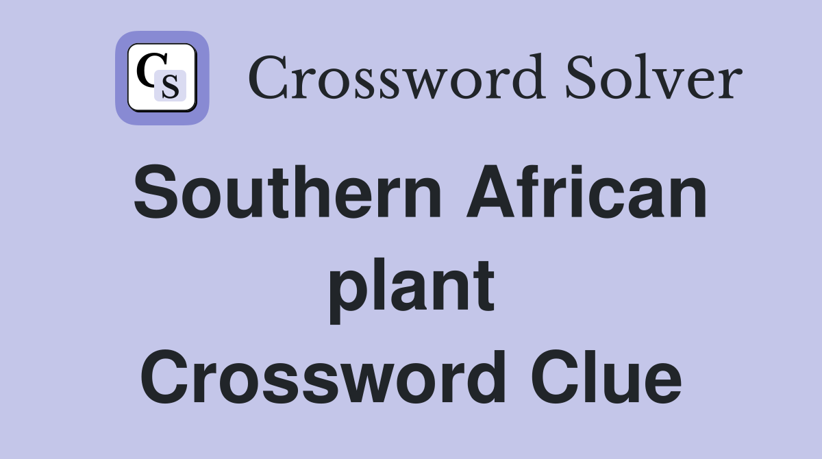 Southern African plant Crossword Clue
